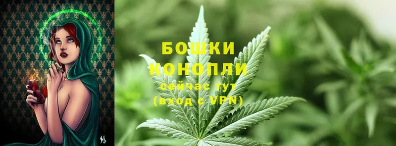 купить   Заводоуковск  Шишки марихуана LSD WEED 